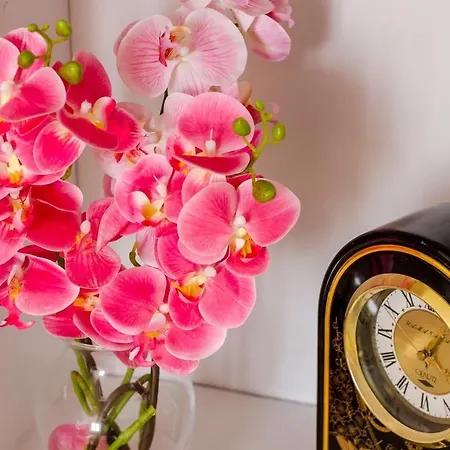 Avantgarde * Dubrovnik